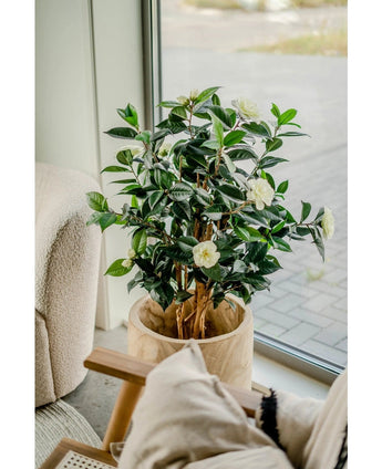 De Kunstplant Camellia japonica 100 cm, met donkergroene bladeren en witte bloemen, staat bij een groot raam naast een stoel met kussens en beige kussens.