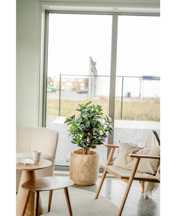 De Kunstplant Camellia japonica 100 cm met groene en witte bladeren staat tussen een beige fauteuil en een houten stoel met kussens, naast een ronde bijzettafel, voor grote glazen deuren die uitkijken op een buitenruimte.