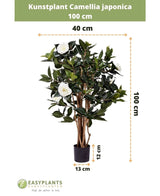 Kunstplant Camellia japonica 100 cm hoog en 40 cm breed, geleverd in een zwarte pot van 13x12 cm. De Japanse roos heeft groene bladeren en witte kunstbloemen, afgebeeld met maatlijnen.