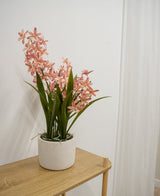 Den konstgjorda Cymbidium-växten 58 cm rosa, med höga gröna blad och rosa orkidéliknande blommor, står på ett ljust träbord mot en vanlig vit vägg och en vit gardin.