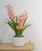 Artificiell Cymbidium 58 cm rosa, en grön växt med långa blad och långa stjälkar med ljusrosa blommor i en vit keramikkruka, står på ett ljust träbord mot en vanlig vit vägg.