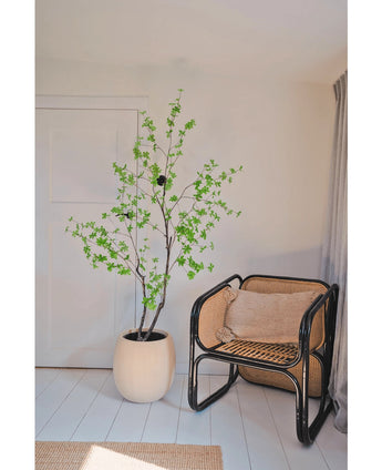 Artificiell Enkianthus 180 cm växt med gröna blad står bredvid en svart rottingstol med en brun kudde i ett ljust, minimalistiskt rum med vita väggar och golv, mjukt upplyst av ljus som kommer in från höger.
