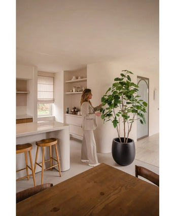 En kvinna i neutrala kläder står i ett modernt, minimalistiskt kök och rör vid löven på den 210 cm stora konstgjorda Ficus-växten. Solljus framhäver rummets rena linjer och jordfärger.