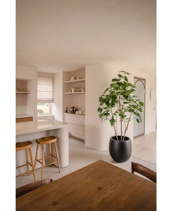 Ett modernt kök med ljusa väggar, träpallar på bänken, öppna hyllor med porslin, en konstgjord Ficus-växt 210 cm som tillför grönska och ett matbord i trä med stolar. Utrymmet är ljust med naturligt ljus.