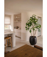 Ett modernt, minimalistiskt kök och matplats i neutrala toner har öppna hyllor, en svängd ö med träpall, en matplats i trä och den konstgjorda växten Ficus 210 cm som en stilren krukväxt. Naturligt ljus lyser upp rummet.