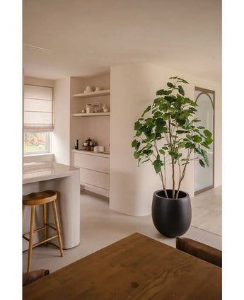 Ett modernt, minimalistiskt kök och matplats i neutrala toner har öppna hyllor, en svängd ö med träpall, en matplats i trä och den konstgjorda växten Ficus 210 cm som en stilren krukväxt. Naturligt ljus lyser upp rummet.