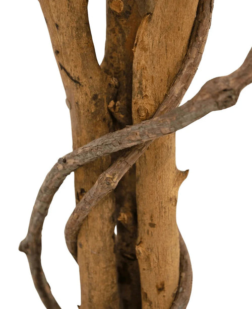 En närbild på den konstgjorda växten Ficus Grön/vit 90 cm visar de bruna grenarna med en vinranka som slingrar sig runt dem, mot en vit bakgrund.