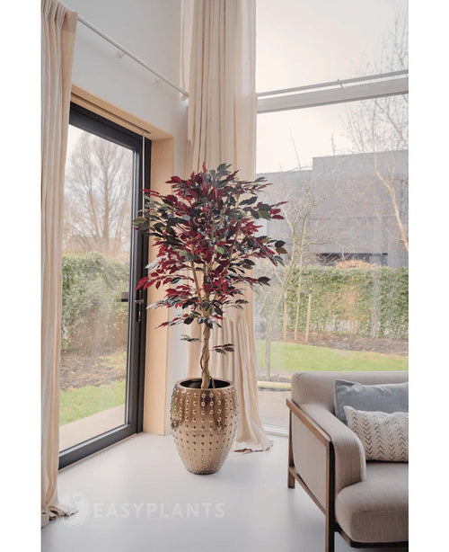 En konstgjord Ficus grön/röd växt 180 cm brandskyddsmedel med mörkgröna och röda blad står nära ett stort fönster med krämfärgade gardiner i ett ljust, modernt vardagsrum bredvid en beige soffa med mönstrade kuddar. Träd och ett hus syns utanför.