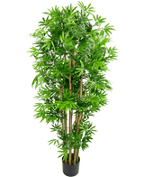 Den konstgjorda växten japansk bambu 150 cm är en hög konstgjord bambu med flera bruna stjälkar och frodiga gröna blad, i en kompakt svart kruka, mot en vanlig vit bakgrund.