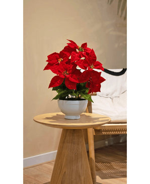 De Kunstplant Kerstster 44 cm rood, met levendige rode bloemen in een witte pot, staat op een ronde houten bijzettafel naast een beige accentstoel in een gezellige, zacht verlichte kamer.