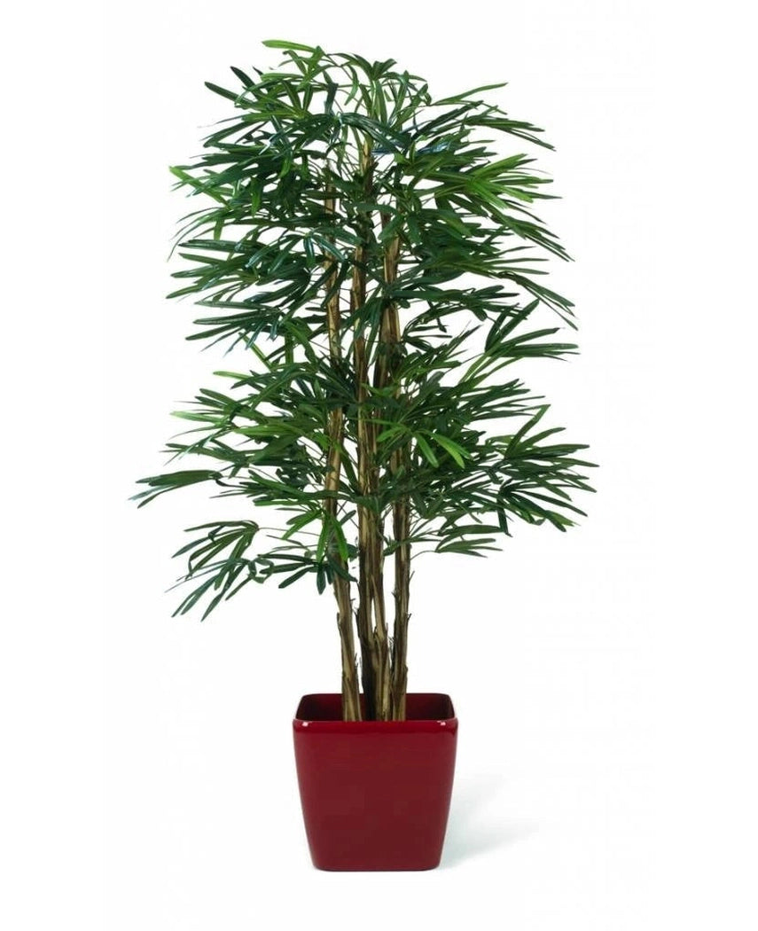 Artificiell växt Lady Palm 180 cm brandskyddsmedel är en hög konstgjord palm med smala gröna stjälkar och långa, smala blad, uppsatt i en glänsande röd fyrkantig plantering mot en vit bakgrund.