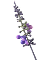De Kunstplant Lavendel 51 cm in sierpot heeft een enkele hoge stengel met kleine, ronde paarse en groene knoppen en bloemen die verticaal zijn gerangschikt, tegen een witte achtergrond.