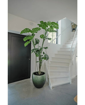 En konstgjord växt Monstera 210 cm står i en kruka på ett grått golv bredvid en vit trappa med svängt räcke i en modern, minimalistisk inredning. En svart dörr syns till vänster.