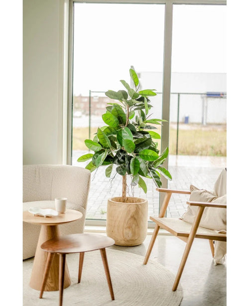 Ljust, modernt rum med stora fönster, Konstväxtgummiplantan 150 cm med mörkgröna blad i en dekorativ kruka på en ljus rund matta, en beige fåtölj, sidobord i trä med kopp och fat och en trästol med dyna.