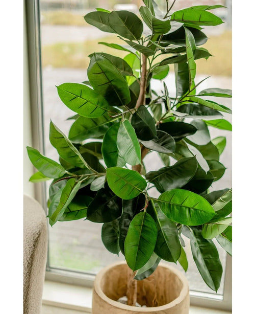 Konstgummiplantan 150 cm placeras nära ett fönster. De stora glänsande mörkgröna bladen fångar det naturliga ljuset och ger alla rum en elegant look.