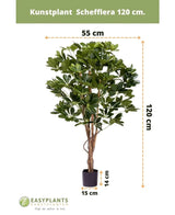 Kunstplant Schefflera 120 cm in zwarte pot, 55 cm breed en potdiameter van 15 cm. De plant heeft meerdere groene bladeren en staat op een witte achtergrond met zichtbare afmetingen.