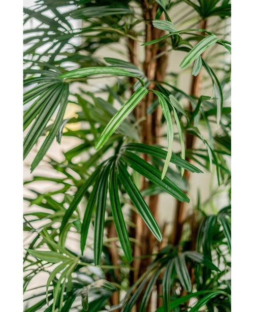 Närbild av livfulla gröna löv och långa, smala blad av Artificiell Lady Palm 210 cm, mot en mjukt suddig bakgrund, som visar upp det frodiga och tropiska utseendet hos denna konstgjorda palm.