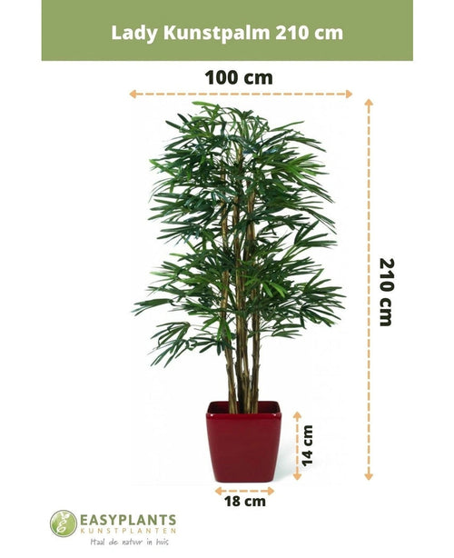 Lady Artificial Palm 210 cm: Denna imponerande realistiska konstgjorda Rhapis Palm är 210 cm hög och 100 cm bred i en slående röd kruka (14 cm hög, 18 cm bred) - ett perfekt val för eleganta inomhusutrymmen.