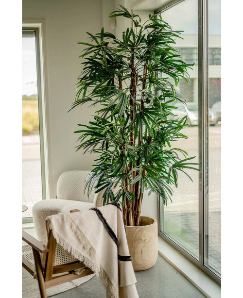 Den konstgjorda Lady Palm 210 cm, med sina långa, smala gröna blad, placeras nära stora fönster i ett ljust rum. En vit fåtölj och en trästol draperad med en ljus filt i närheten skapar en inbjudande atmosfär.