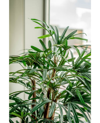 Lady konstgjord palm 150 cm