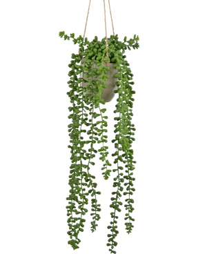 Konstgjorda hängande växter