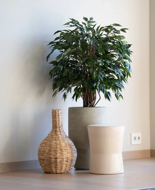 En konstgjord växt Ficus Liana 90 cm står i en grå kruka bredvid en vävd vas och en lätt räfflad pall, allt på ett trägolv mot en vanlig vit vägg.