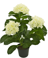 Syntetisk hortensia vit 35 cm