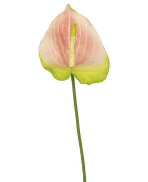 En enda konstgjord Anthurium-blomma på 68 cm i rosa, med en delikat rosa och grön blomma på en lång grön stjälk, sticker ut vackert mot en vit bakgrund. Denna eleganta konstgjorda blomma är idealisk för alla som letar efter rosa konstgjorda blommor eller högkvalitativa sidenblommor för att ge sitt inre en extra dimension.