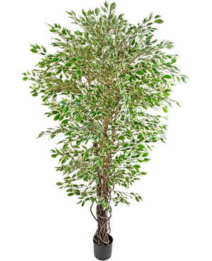 Konstgjord växt Hawaiian Ficus Liana grønn/hvit 180 cm