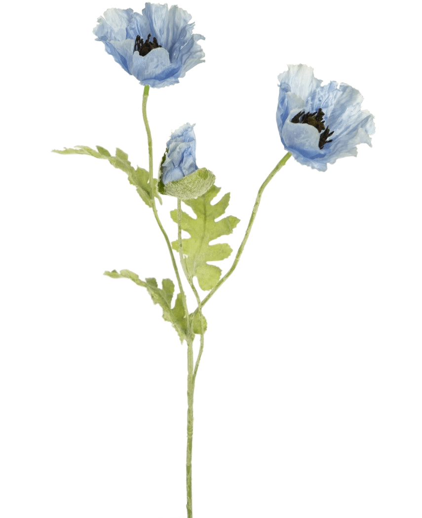 Akvarellillustration av konstgjord vallmoblomma 73 cm blå med två blommande blå vallmoblommor och en knopp med gröna stjälkar och blad på vit bakgrund.