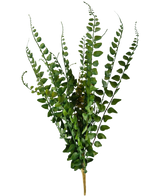 Den konstgjorda ormbunken 48 cm har konstgjorda ormbunksgrenar med långa, smala stjälkar och fint detaljerade blad som står upprätt mot en vanlig vit bakgrund.