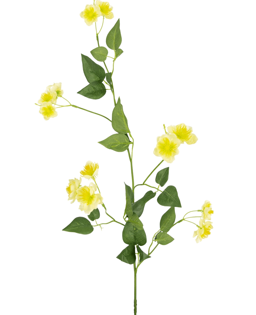 Smörblomma 77 cm är en enda grön stjälk med flera grenar, små gula blommor och gröna blad - perfekt för att komponera din bukett - visad på en vanlig vit bakgrund.