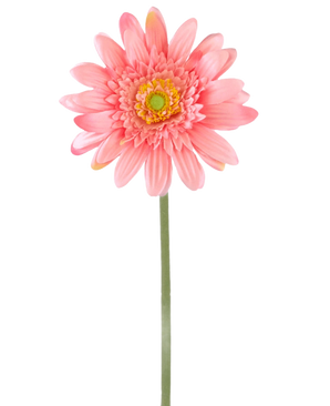 Een Kunstbloem Gerbera 55 cm roze heeft een enkele roze gerbera met een geelgroen hart op een lange groene steel, tegen een effen witte achtergrond.