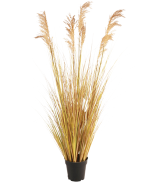 De Kunst Grasplant Sorghum 130 cm brandvertragend, met zijn slanke geelgroene bladeren en vederlichte bruine pluimen, benadrukt de nieuwste woontrend tegen een effen witte achtergrond.