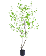 Den konstgjorda växten Enkianthus 180 cm är en lång, smal krukväxt med tunna grenar och ljusgröna blad mot en vanlig vit bakgrund.