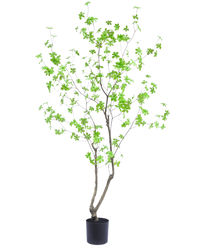 Konstgjord växt Enkianthus 180 cm