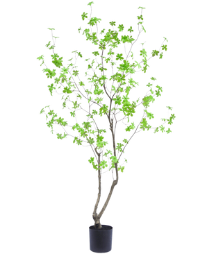 Den konstgjorda växten Enkianthus 180 cm är en lång, smal krukväxt med tunna grenar och ljusgröna blad mot en vanlig vit bakgrund.