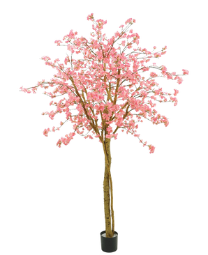 Konstgjorda körsbärsblommor rosa träd 240 cm har rosa blommor, bruna grenar och en svart kruka mot en vanlig vit bakgrund.
