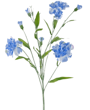 Konstblommans nejlikaklas 70 cm blå har en delikat stjälk med flera ljusblå nejlikablommor och gröna blad, mot en vanlig vit bakgrund.