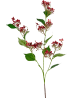 Den konstgjorda blomman Vild hortensia 86 cm röd har en hög stjälk med klasar av små, mörkröda blommor och flera gröna blad, avbildade mot en vit bakgrund.