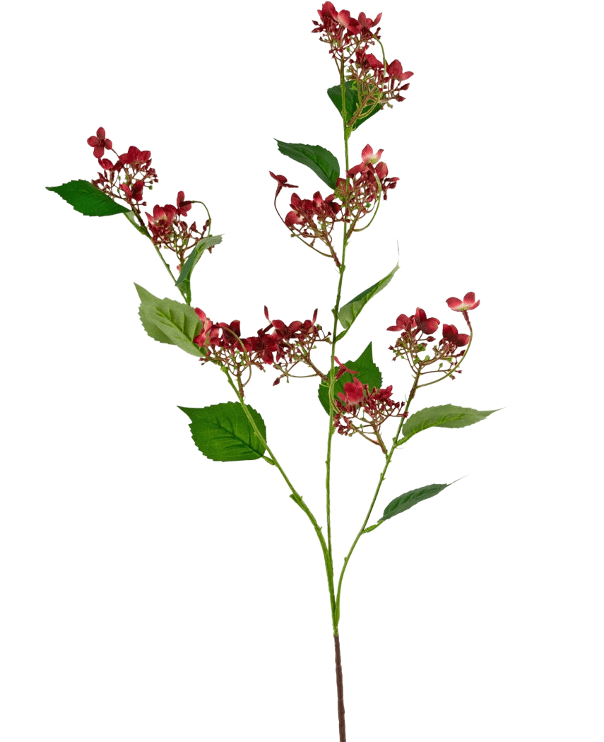 Den konstgjorda blomman Vild hortensia 86 cm röd har en hög stjälk med klasar av små, mörkröda blommor och flera gröna blad, avbildade mot en vit bakgrund.