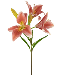 Konstgjord blomma Asiatisk lilja 66 cm gammal rosa
