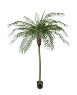 De Kunstpalm Phoenix De Luxe 210 cm heeft lange, gebogen groene bladeren en een gestructureerde stam, in een kleine zwarte pot tegen een effen witte achtergrond.