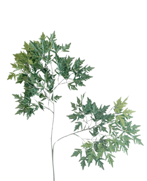 Artificiella Leaf Ming Aralia 50 cm gröna brandskyddsmedel är en lång, smal konstgjord växt med tunna stjälkar och knippen av gröna blad med tandade kanter mot en vanlig vit bakgrund.