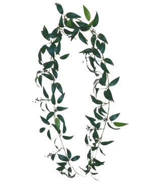 De Kunst Smilax Slinger 180cm is een decoratieve slinger met groene bladeren en kleine donkere bessen, gerangschikt in een ovale vorm op een witte achtergrond.
