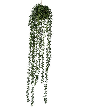 Den konstgjorda hängande växten Senecio Ball 71 cm har långa, slingrande gröna rankor som kommer fram från en rund klunga på toppen, perfekt för att lägga till grönska mot en vanlig vit bakgrund.