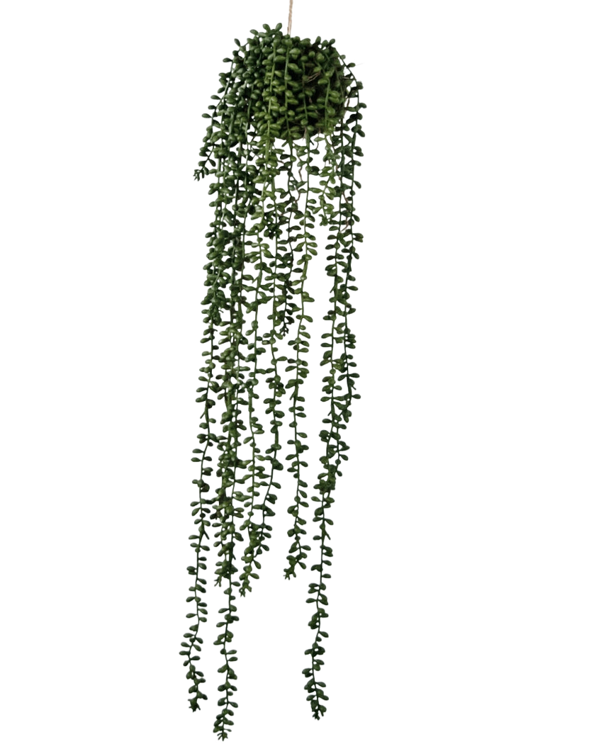 Den konstgjorda hängande växten Senecio Ball 71 cm har långa, slingrande gröna rankor som kommer fram från en rund klunga på toppen, perfekt för att lägga till grönska mot en vanlig vit bakgrund.