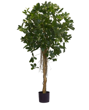 Den konstgjorda växten Schefflera små blad 150 cm har en hög vriden stam och täta klasar av mörkgröna blad mot en vanlig vit bakgrund. Perfekt för att sätta en fräsch touch till din inredning eller att ställa ut i snygga dekorativa krukor.