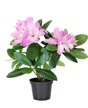 De Kunstplant Rhododendron 34 cm heeft levendige groene bladeren en trossen lichtroze bloemen in een kleine zwarte pot, tegen een effen witte achtergrond.