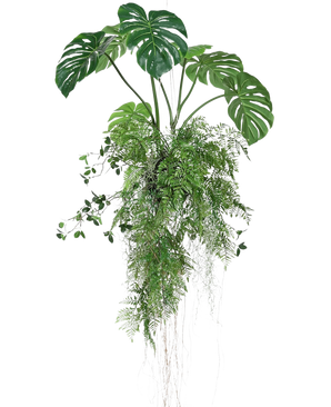 Den konstgjorda hängande växten Monstera/Fern Ball 100 cm XL har frodiga gröna monsterablad och ormbunkar med långa, släpande rankor och rötter, perfekt för att lägga till grönska till alla utrymmen mot en vit bakgrund.